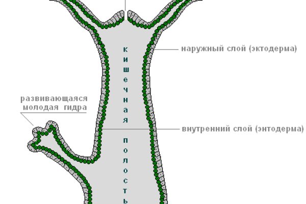 Кракен наркотики в оренбурге