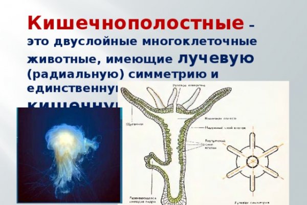 Kraken новая ссылка